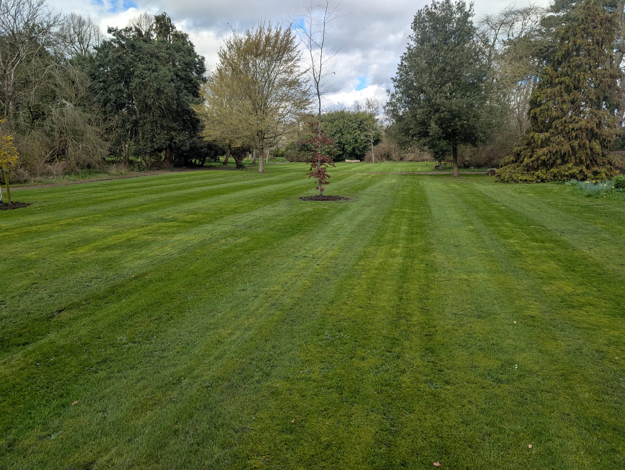 Routine Grass Cutting